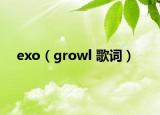 exo（growl 歌詞）