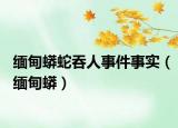 緬甸蟒蛇吞人事件事實（緬甸蟒）