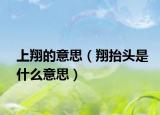 上翔的意思（翔抬頭是什么意思）