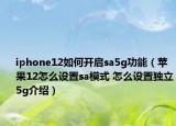 iphone12如何開啟sa5g功能（蘋果12怎么設(shè)置sa模式 怎么設(shè)置獨立5g介紹）