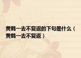 黃鶴一去不復(fù)返的下句是什么（黃鶴一去不復(fù)返）