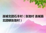 連城北團(tuán)石豐村（張地村 連城縣北團(tuán)鎮(zhèn)張地村）