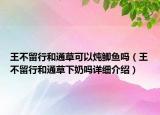 王不留行和通草可以燉鯽魚(yú)嗎（王不留行和通草下奶嗎詳細(xì)介紹）