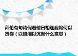 拜倫有句詩假若他日相逢我將何以賀你（以眼淚以沉默什么意思）