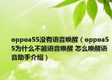 oppoa55沒(méi)有語(yǔ)音喚醒（oppoa55為什么不能語(yǔ)音喚醒 怎么喚醒語(yǔ)音助手介紹）