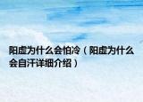 陽虛為什么會(huì)怕冷（陽虛為什么會(huì)自汗詳細(xì)介紹）