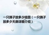 一只鴿子放多少桂圓（一只鴿子放多少天麻詳細(xì)介紹）