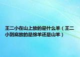 王二小在山上放的是什么羊（王二小到底放的是綿羊還是山羊）