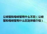 公螃蟹和母螃蟹有什么不同（公螃蟹和母螃蟹有什么區(qū)別詳細介紹）