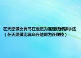 在天愿做比翼鳥在地愿為連理枝修辭手法（在天愿做比翼鳥在地愿為連理枝）