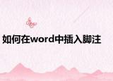 如何在word中插入腳注