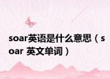 soar英語是什么意思（soar 英文單詞）