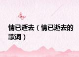 情已逝去（情已逝去的歌詞）
