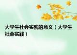 大學(xué)生社會(huì)實(shí)踐的意義（大學(xué)生社會(huì)實(shí)踐）