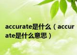 accurate是什么（accurate是什么意思）