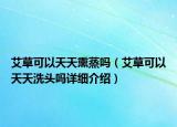 艾草可以天天熏蒸嗎（艾草可以天天洗頭嗎詳細介紹）