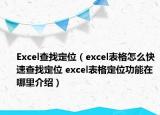 Excel查找定位（excel表格怎么快速查找定位 excel表格定位功能在哪里介紹）