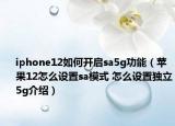 iphone12如何開(kāi)啟sa5g功能（蘋(píng)果12怎么設(shè)置sa模式 怎么設(shè)置獨(dú)立5g介紹）