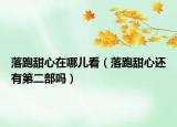 落跑甜心在哪兒看（落跑甜心還有第二部嗎）