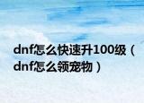 dnf怎么快速升100級(jí)（dnf怎么領(lǐng)寵物）