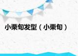 小栗旬發(fā)型（小栗旬）