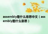 assembly是什么意思中文（assembly是什么意思）