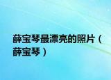 薛寶琴最漂亮的照片（薛寶琴）