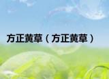 方正黃草（方正黃草）