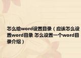 怎么給word設(shè)置目錄（應(yīng)該怎么設(shè)置word目錄 怎么設(shè)置一個word目錄介紹）