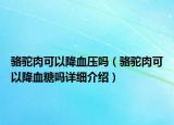 駱駝肉可以降血壓嗎（駱駝肉可以降血糖嗎詳細(xì)介紹）