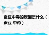 蠶豆中毒的原因是什么（蠶豆 中藥）