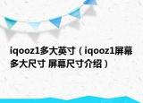 iqooz1多大英寸（iqooz1屏幕多大尺寸 屏幕尺寸介紹）