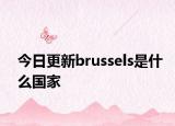 今日更新brussels是什么國家