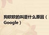 狗歐歐的叫是什么原因（Google）