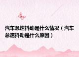 汽車怠速抖動是什么情況（汽車怠速抖動是什么原因）