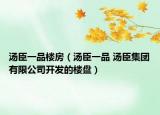 湯臣一品樓房（湯臣一品 湯臣集團(tuán)有限公司開發(fā)的樓盤）