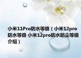 小米11Pro防水等級（小米12pro防水等級 小米12pro防水防塵等級介紹）