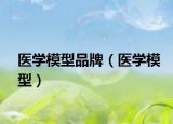 醫(yī)學(xué)模型品牌（醫(yī)學(xué)模型）