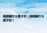 雨刷器什么牌子好（雨刷器什么牌子好）