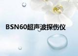 BSN60超聲波探傷儀