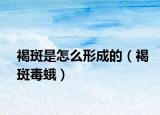 褐斑是怎么形成的（褐斑毒蛾）