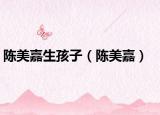 陳美嘉生孩子（陳美嘉）