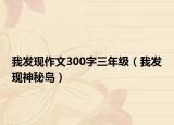 我發(fā)現作文300字三年級（我發(fā)現神秘島）