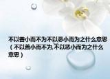 不以善小而不為不以惡小而為之什么意思（不以善小而不為,不以惡小而為之什么意思）