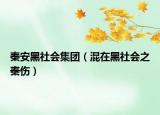 秦安黑社會(huì)集團(tuán)（混在黑社會(huì)之秦傷）