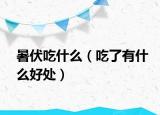 暑伏吃什么（吃了有什么好處）