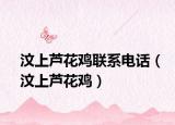 汶上蘆花雞聯(lián)系電話（汶上蘆花雞）