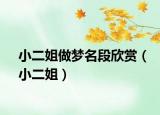 小二姐做夢(mèng)名段欣賞（小二姐）