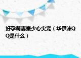 好孕萌妻秦少心尖寵（華伊沫QQ是什么）