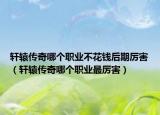 軒轅傳奇哪個職業(yè)不花錢后期厲害（軒轅傳奇哪個職業(yè)最厲害）